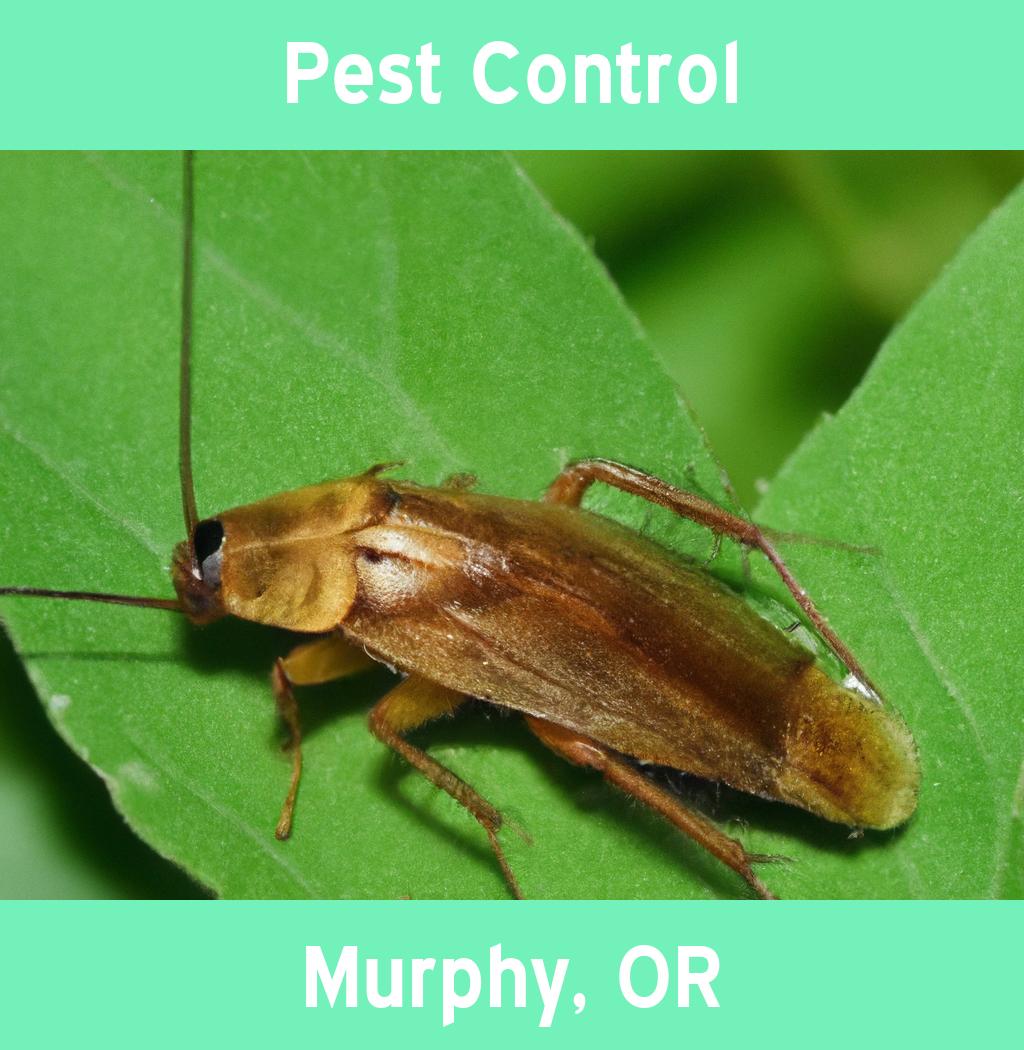 pest control in Murphy Oregon