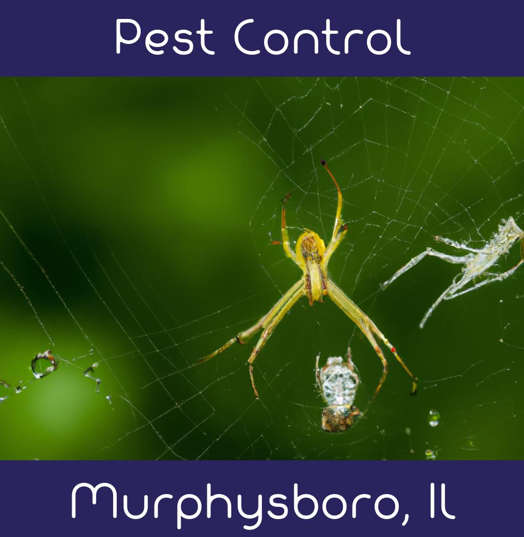 pest control in Murphysboro Illinois