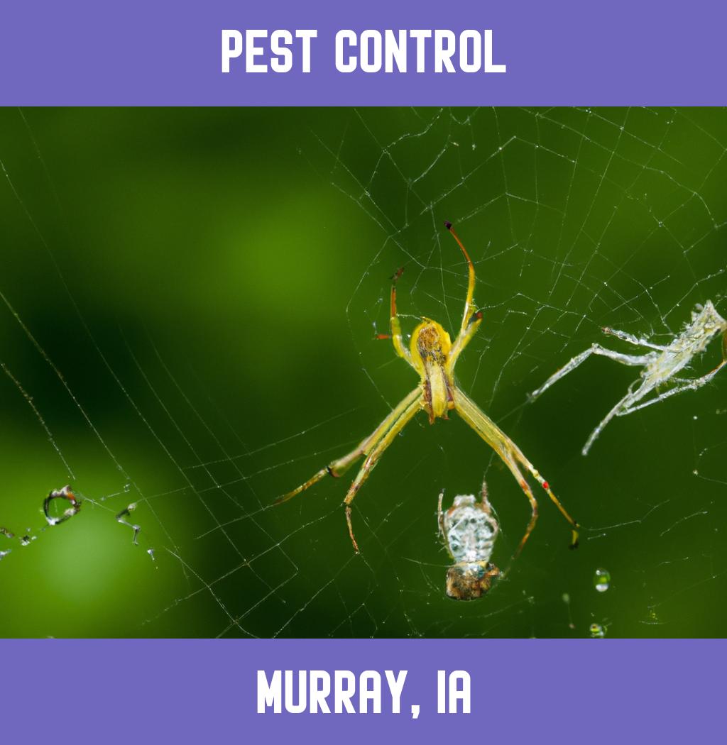 pest control in Murray Iowa