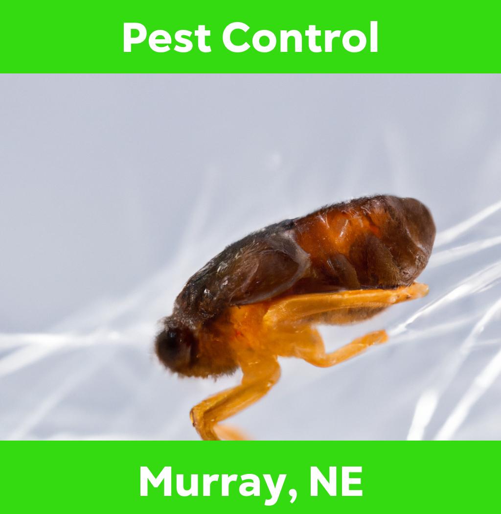 pest control in Murray Nebraska