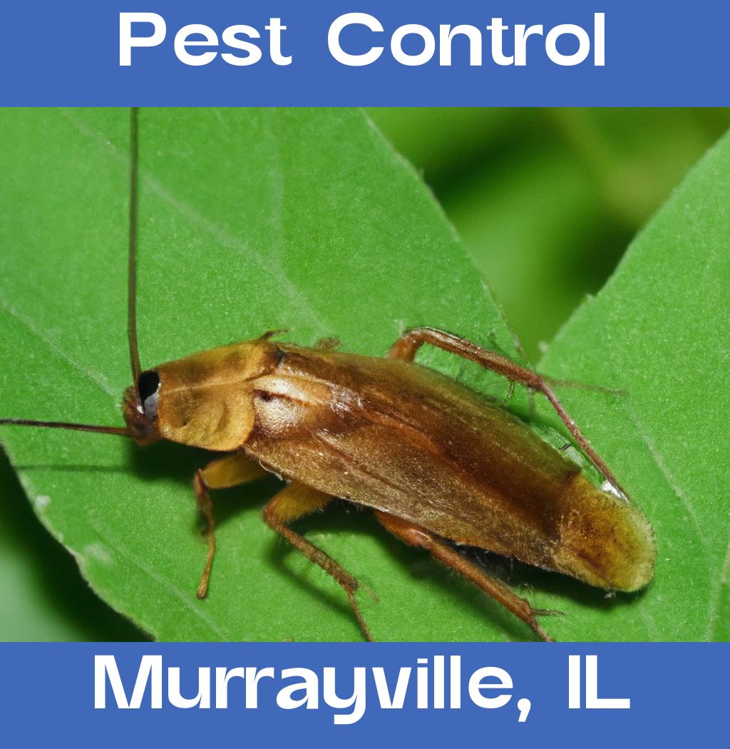 pest control in Murrayville Illinois