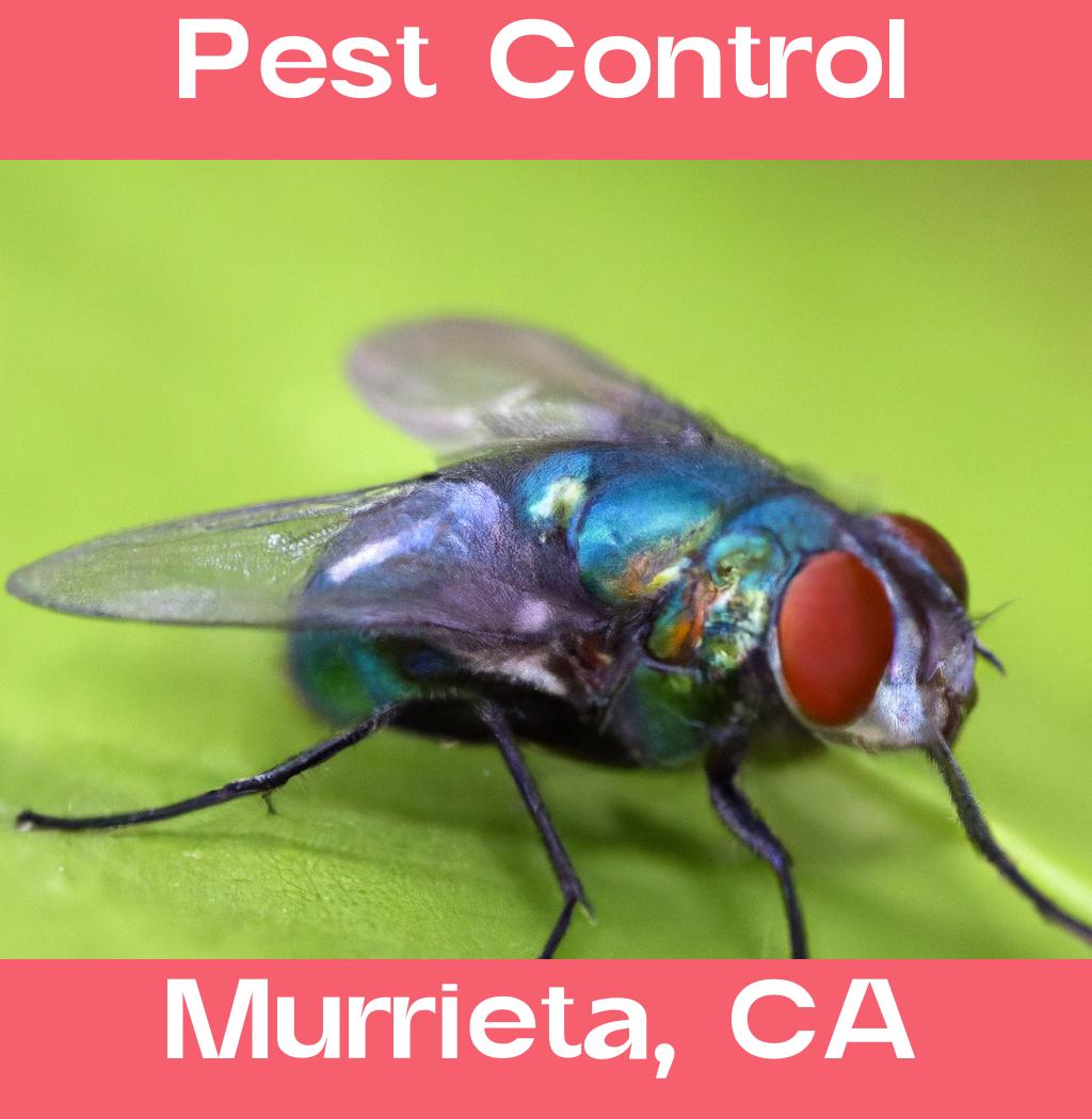 pest control in Murrieta California