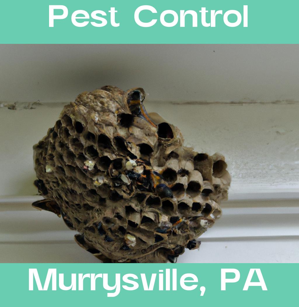 pest control in Murrysville Pennsylvania