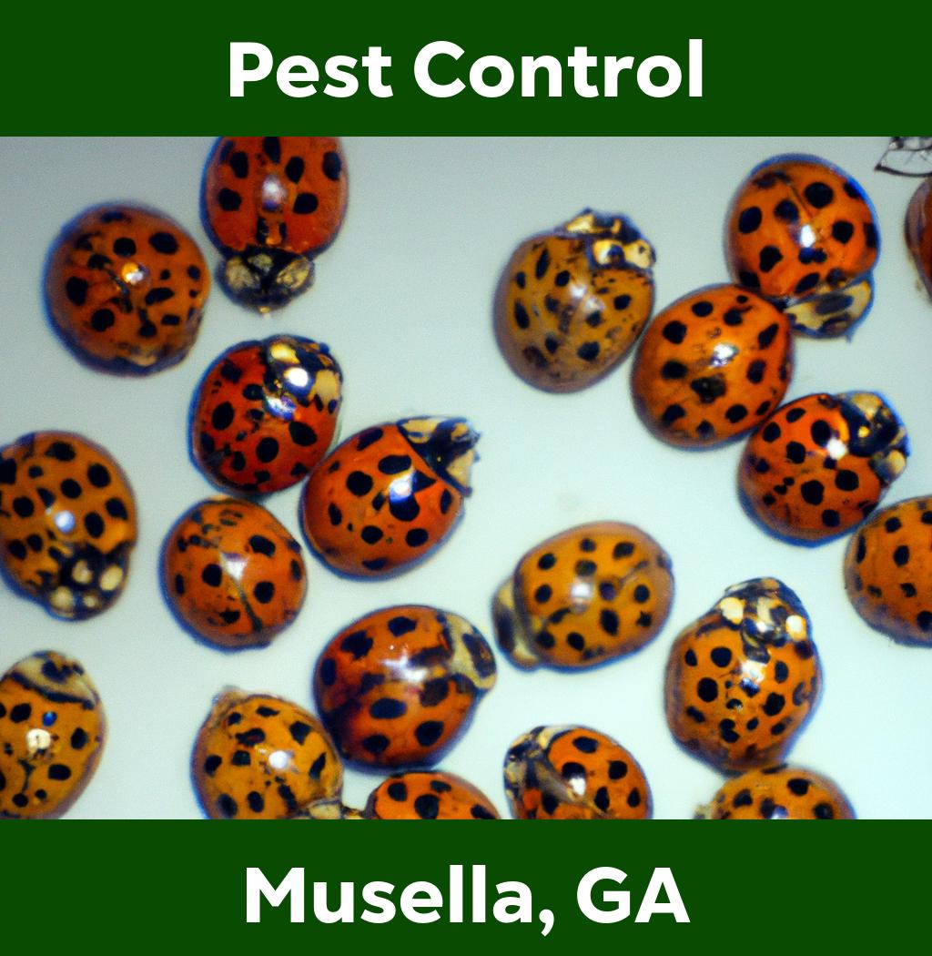 pest control in Musella Georgia