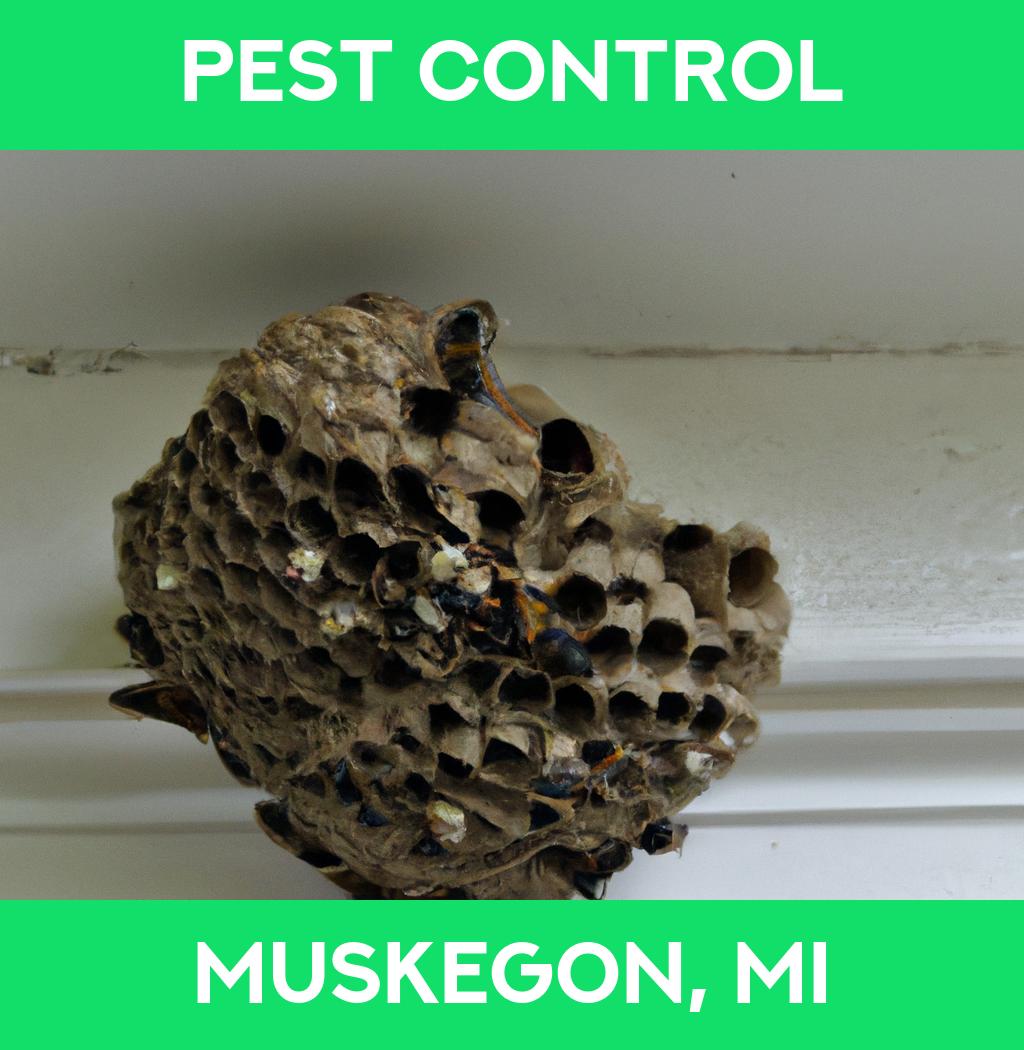 pest control in Muskegon Michigan