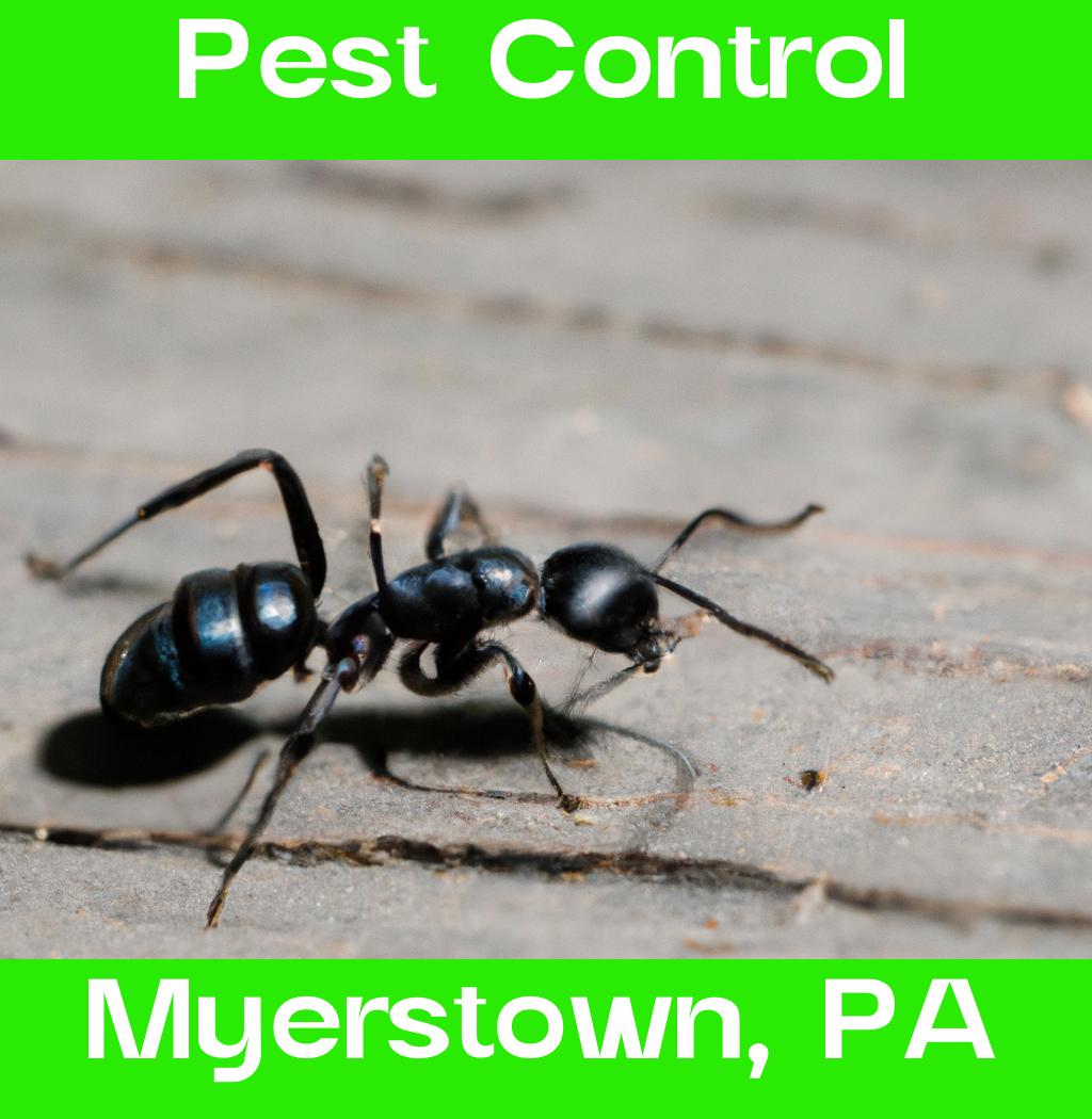 pest control in Myerstown Pennsylvania