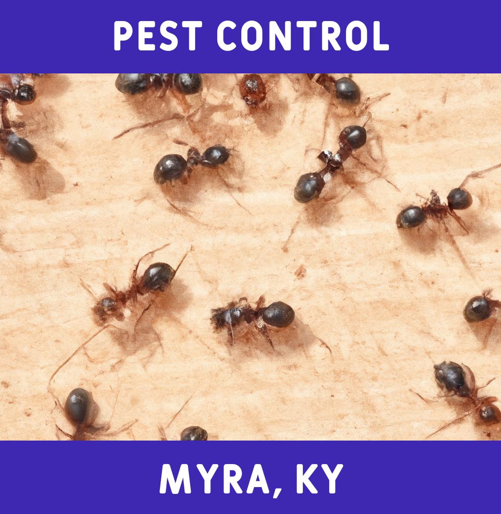 pest control in Myra Kentucky