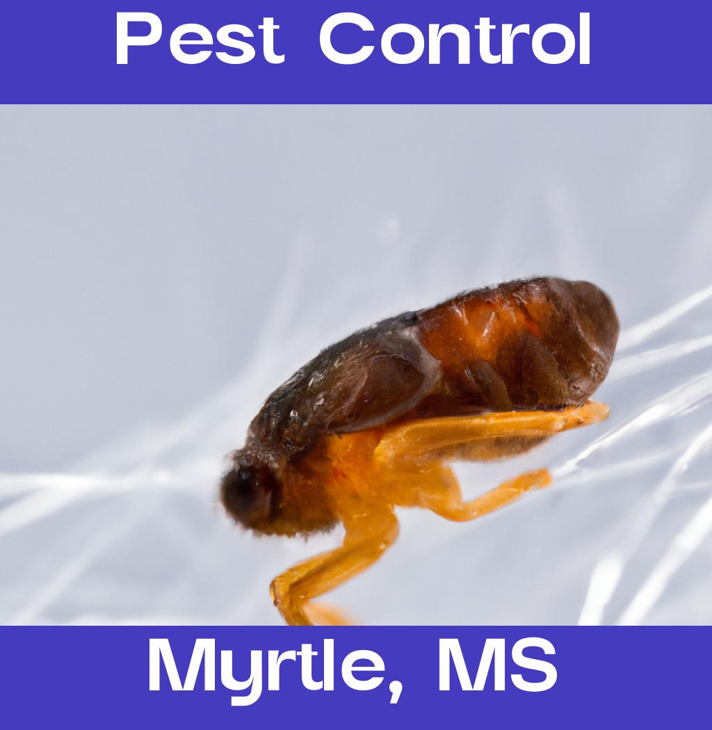 pest control in Myrtle Mississippi