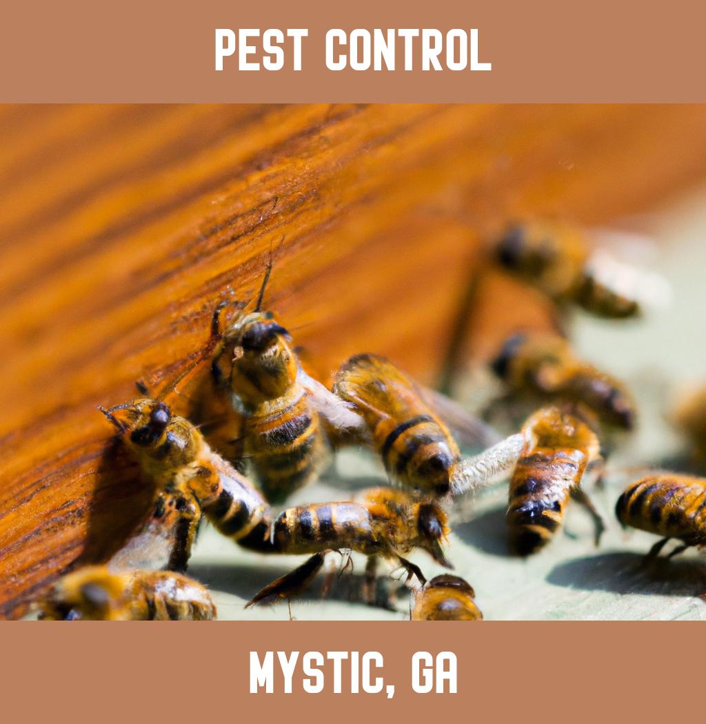 pest control in Mystic Georgia