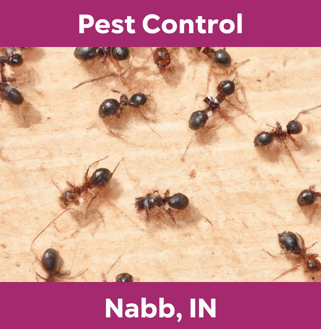 pest control in Nabb Indiana