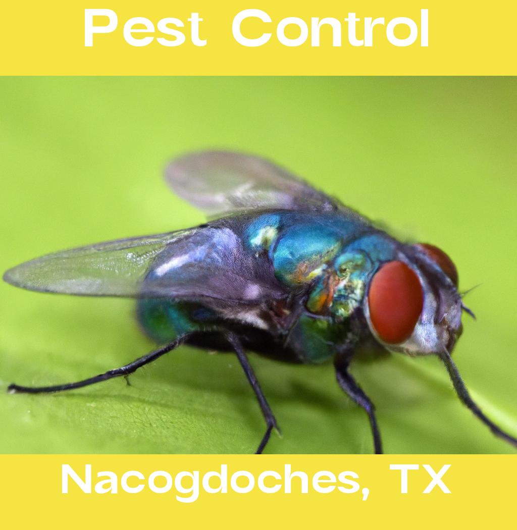 pest control in Nacogdoches Texas
