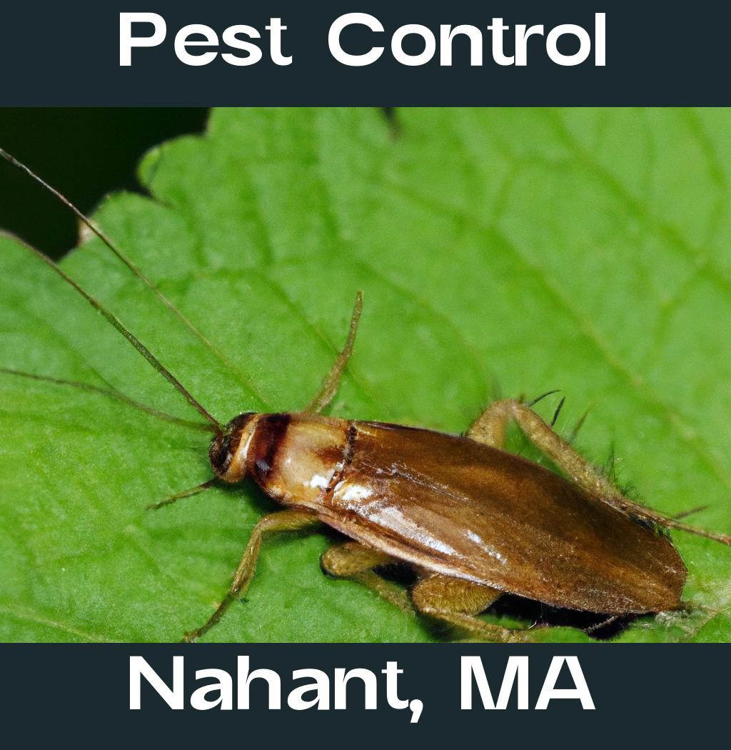 pest control in Nahant Massachusetts