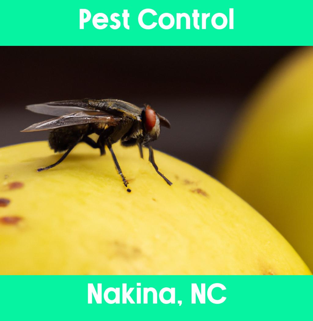 pest control in Nakina North Carolina