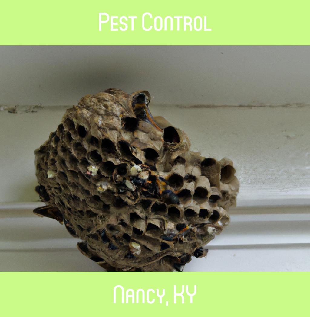 pest control in Nancy Kentucky