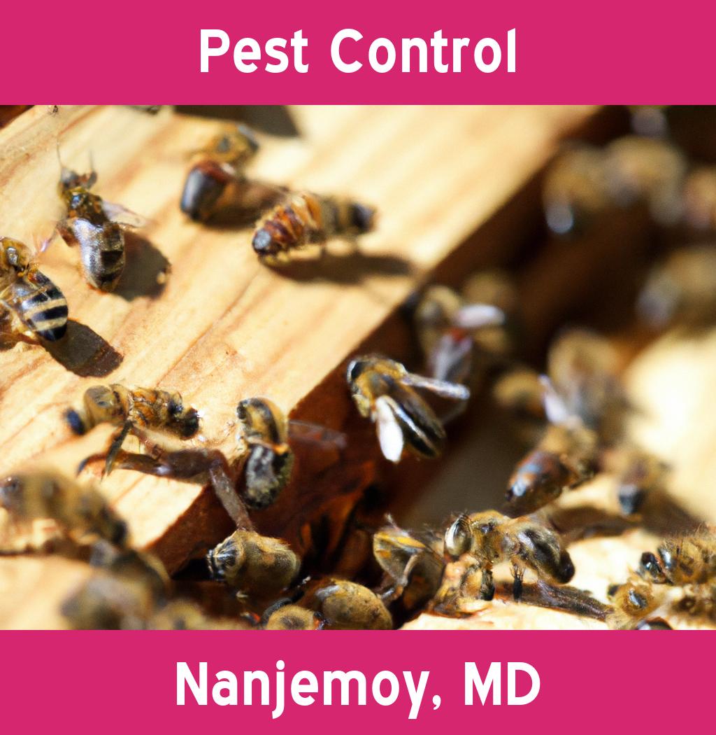 pest control in Nanjemoy Maryland
