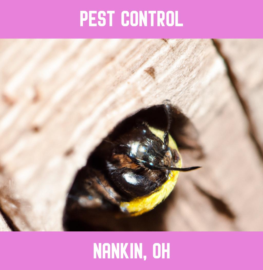 pest control in Nankin Ohio