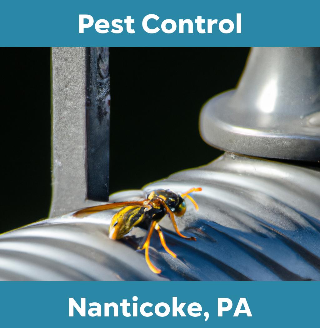 pest control in Nanticoke Pennsylvania