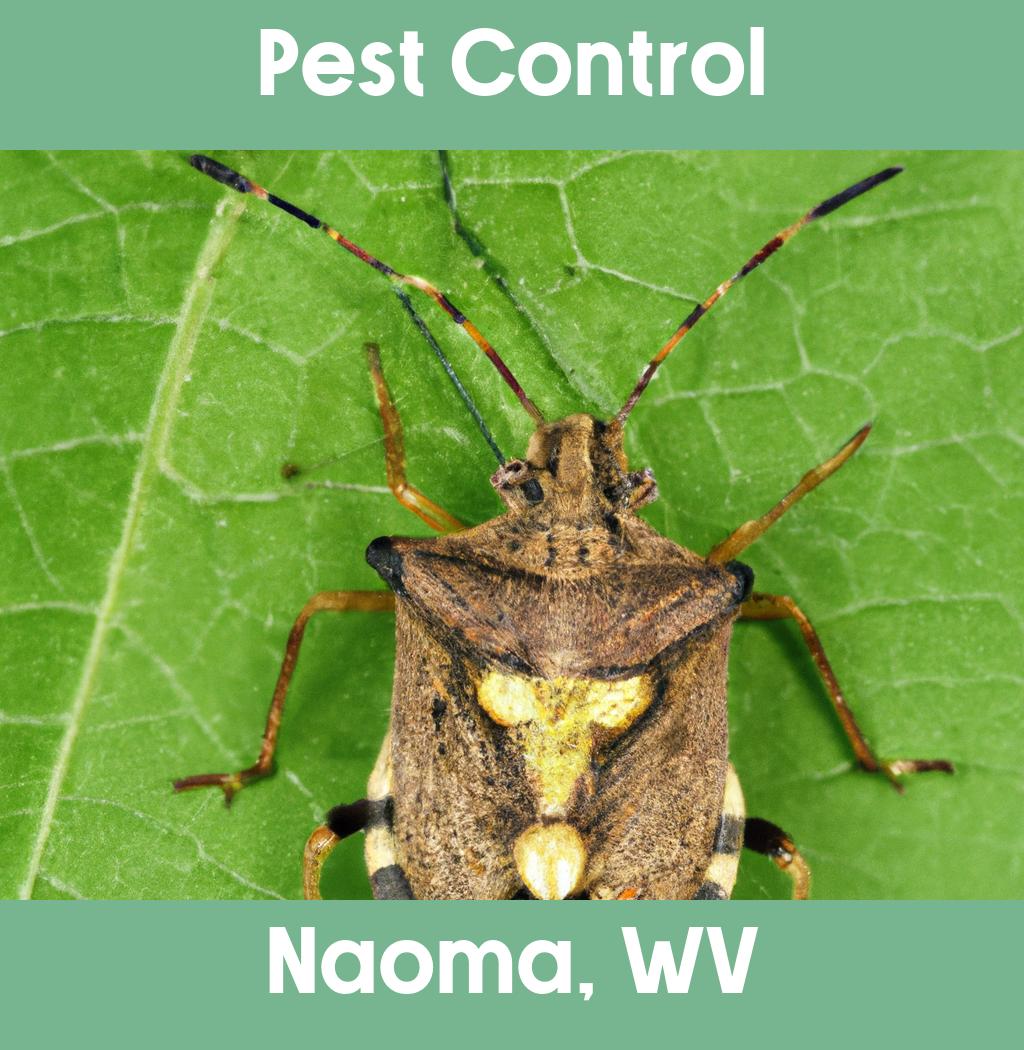 pest control in Naoma West Virginia