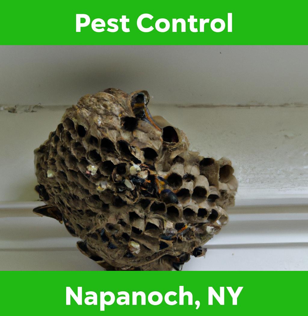 pest control in Napanoch New York