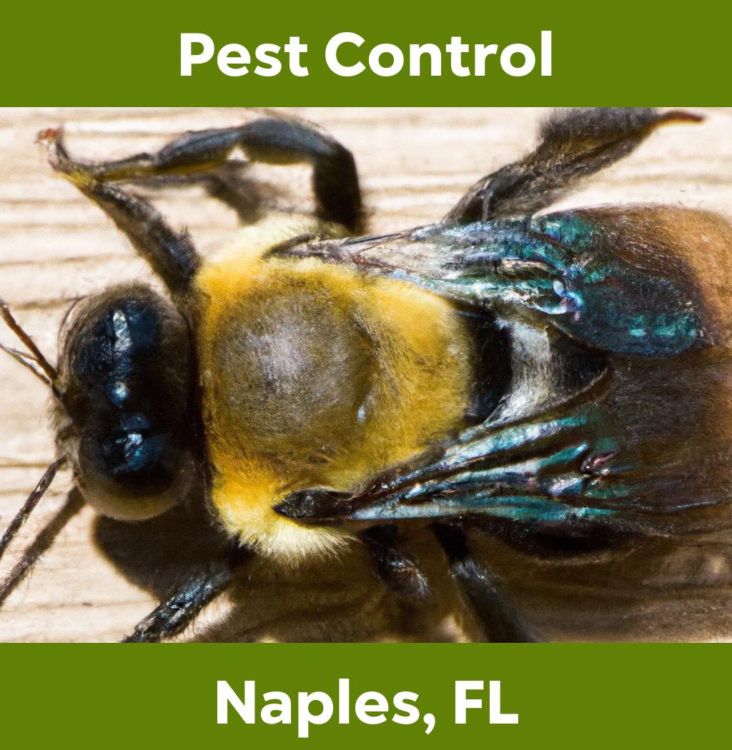 pest control in Naples Florida