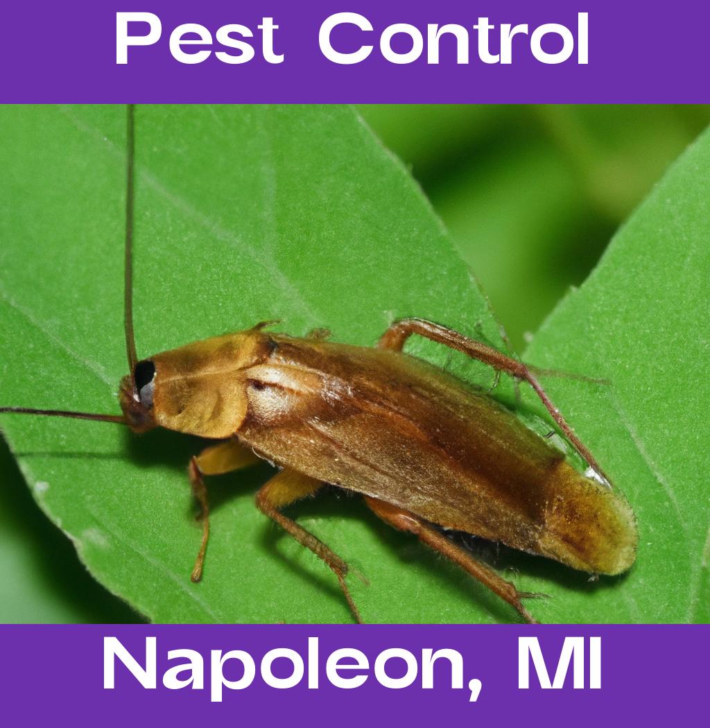 pest control in Napoleon Michigan