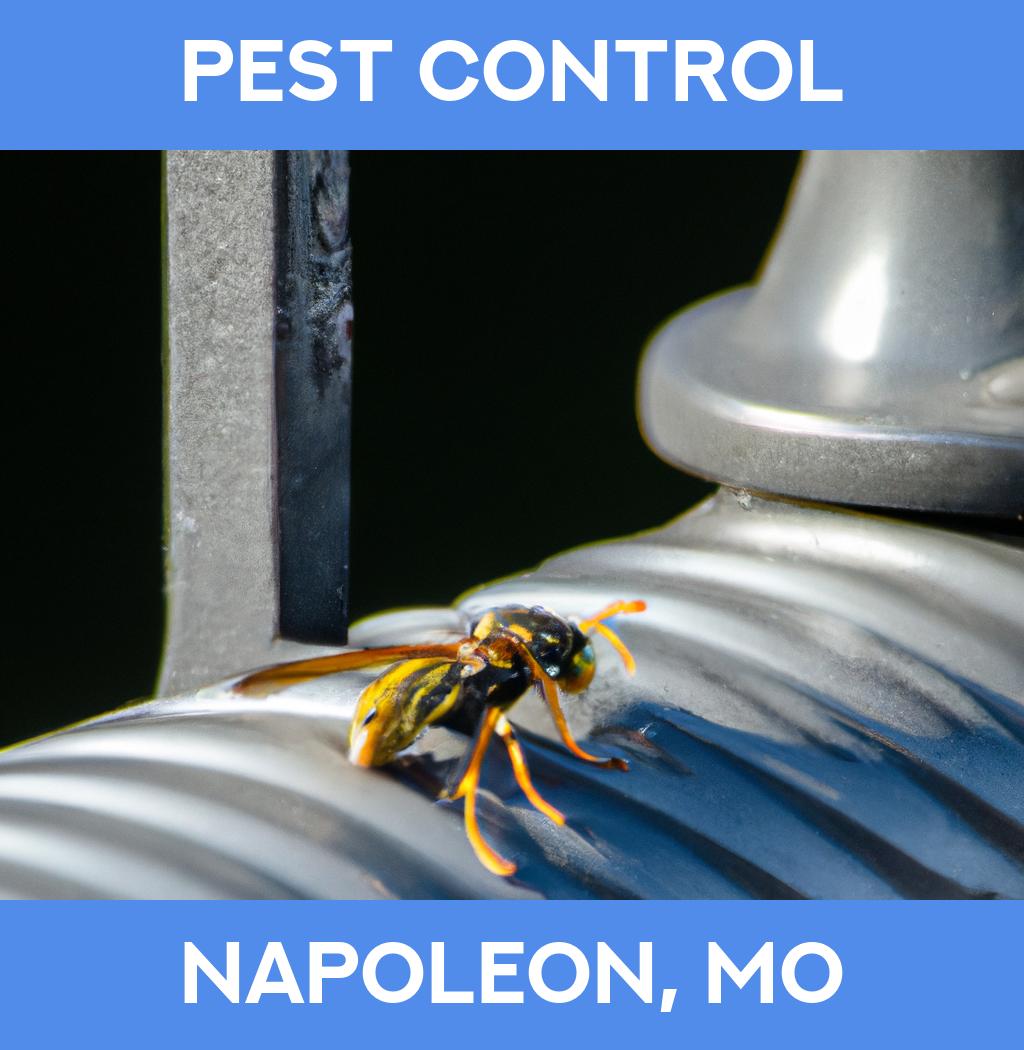 pest control in Napoleon Missouri