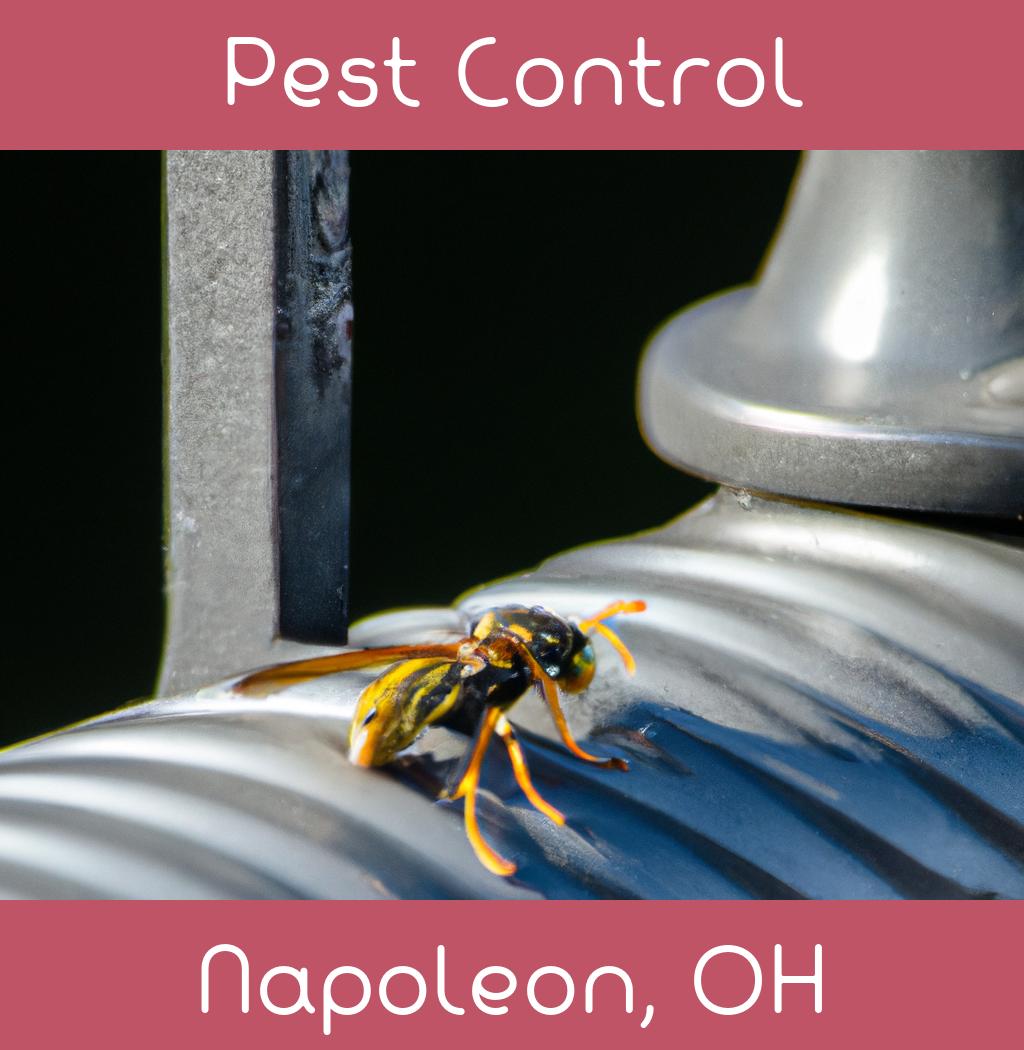 pest control in Napoleon Ohio