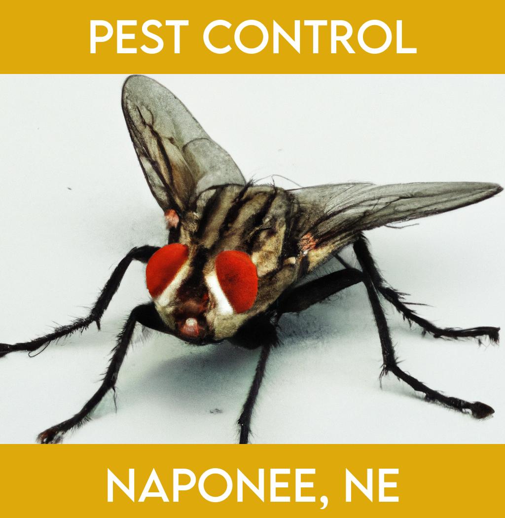 pest control in Naponee Nebraska
