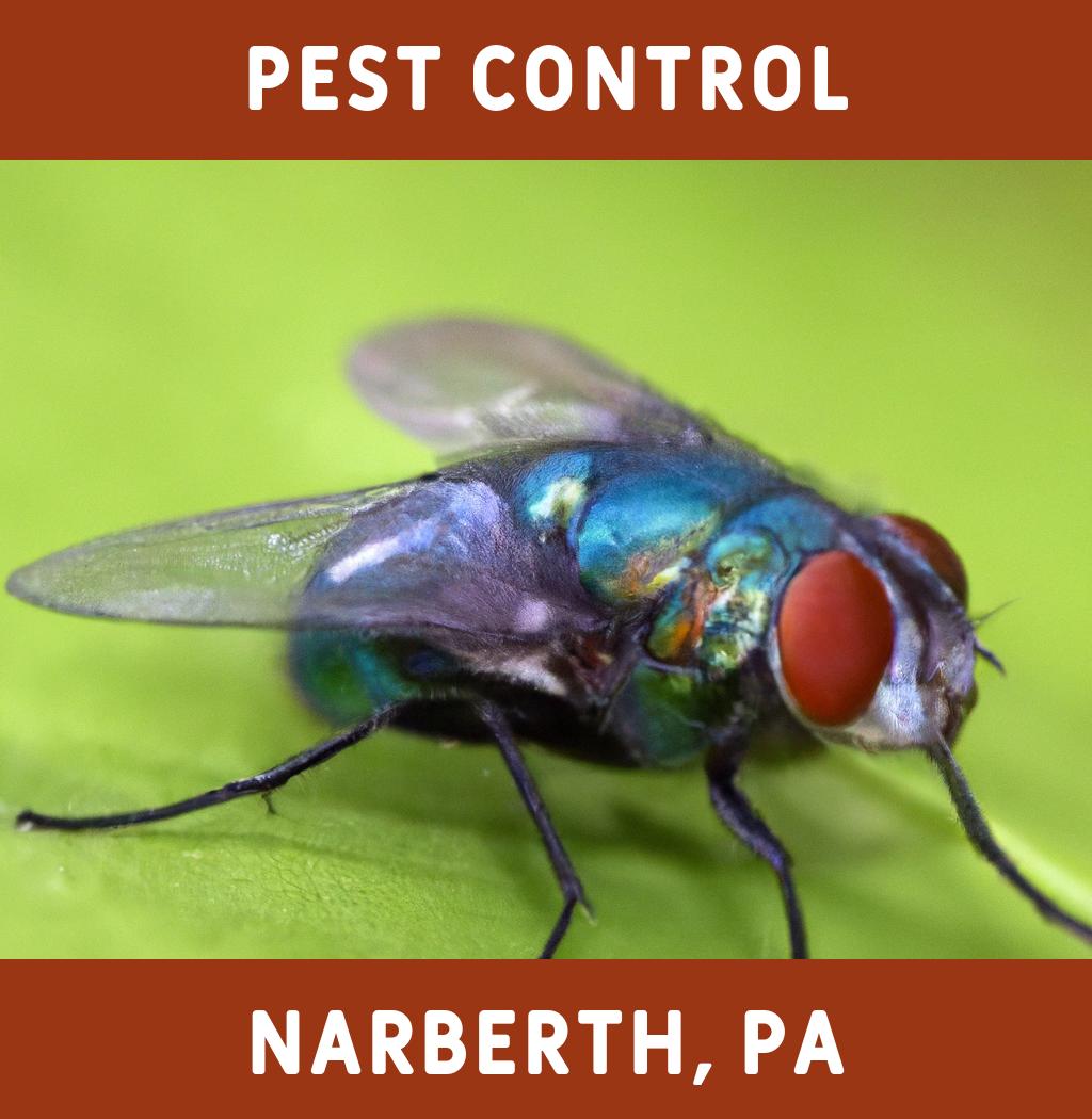 pest control in Narberth Pennsylvania