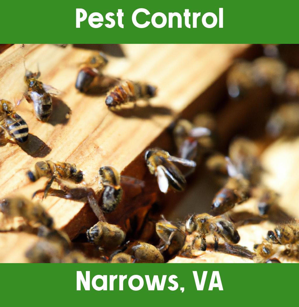 pest control in Narrows Virginia
