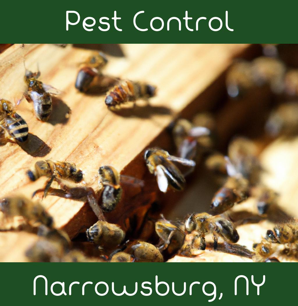 pest control in Narrowsburg New York