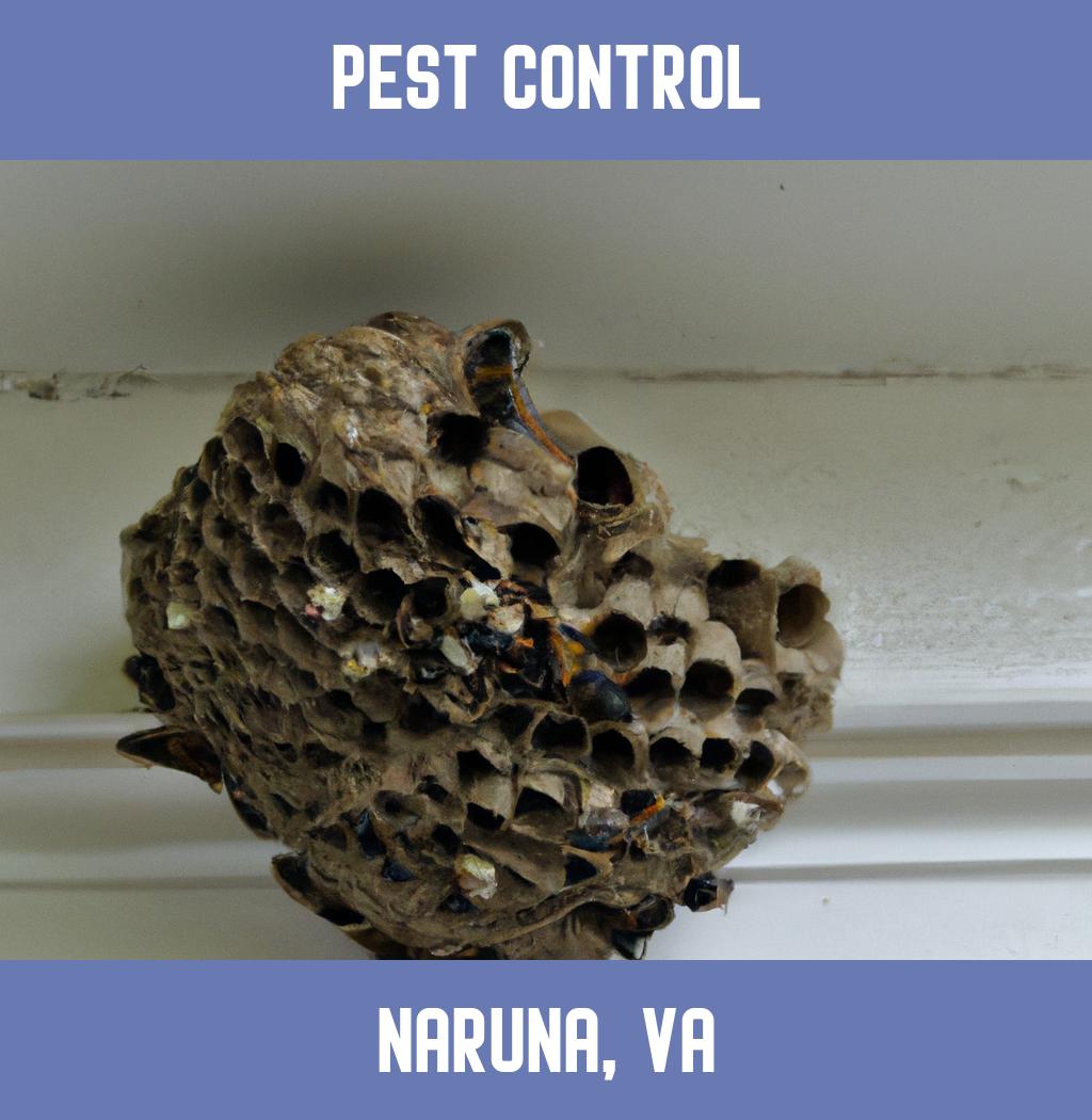 pest control in Naruna Virginia