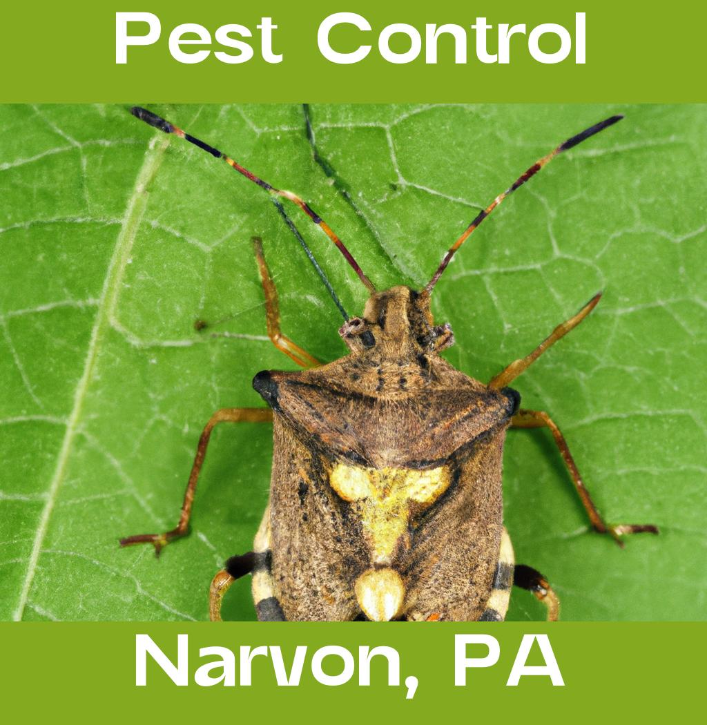 pest control in Narvon Pennsylvania
