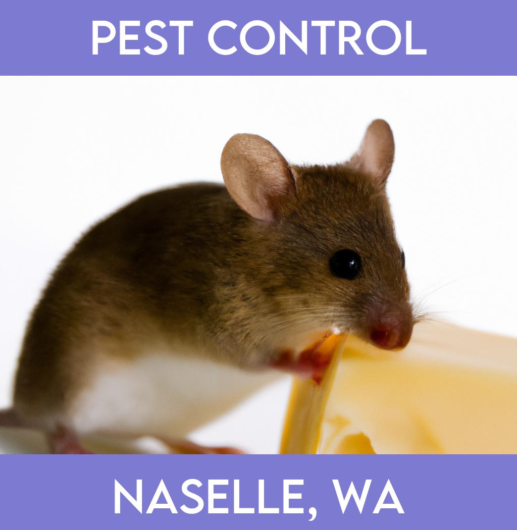 pest control in Naselle Washington