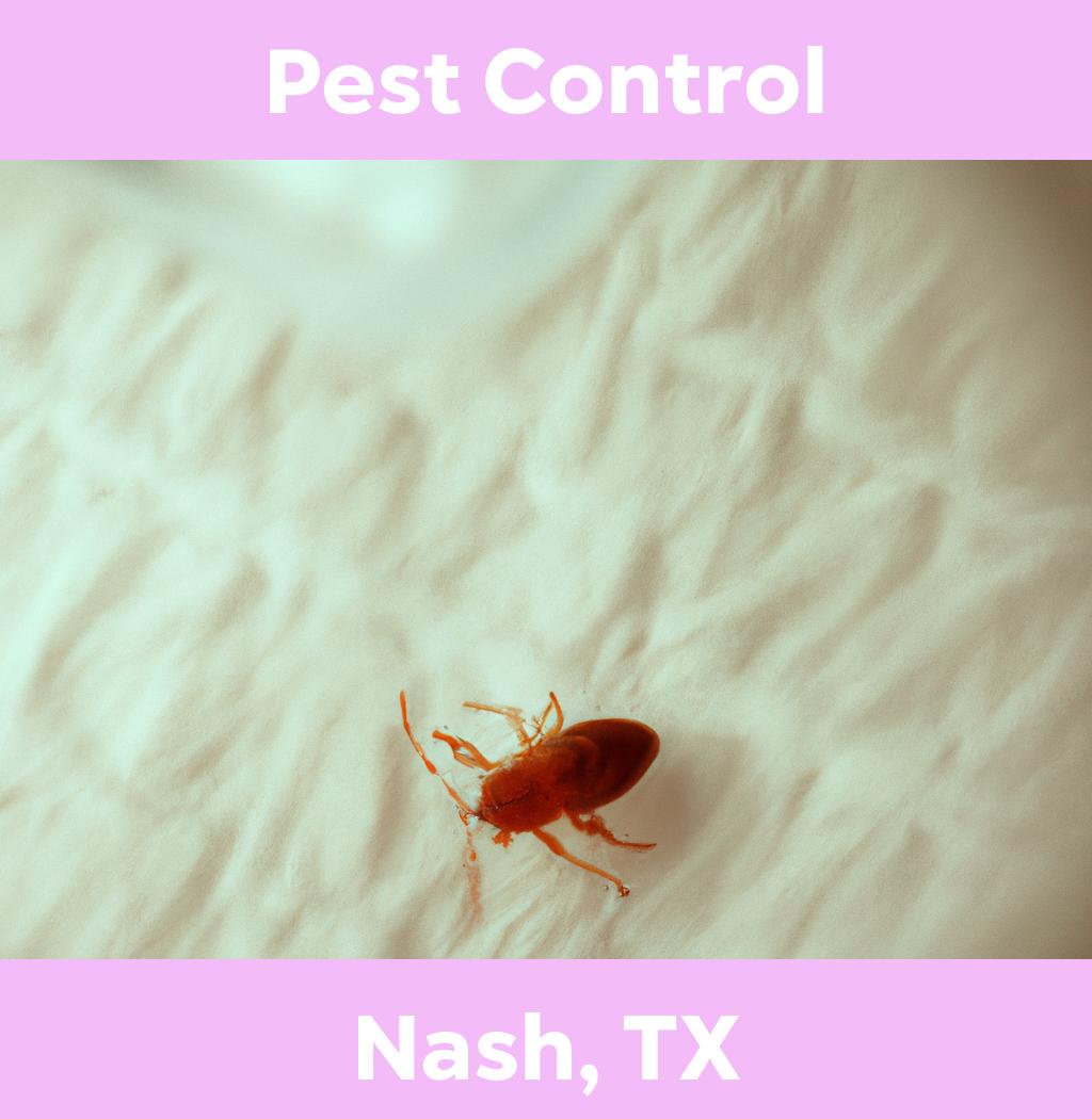 pest control in Nash Texas
