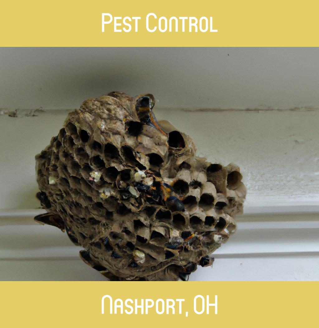 pest control in Nashport Ohio