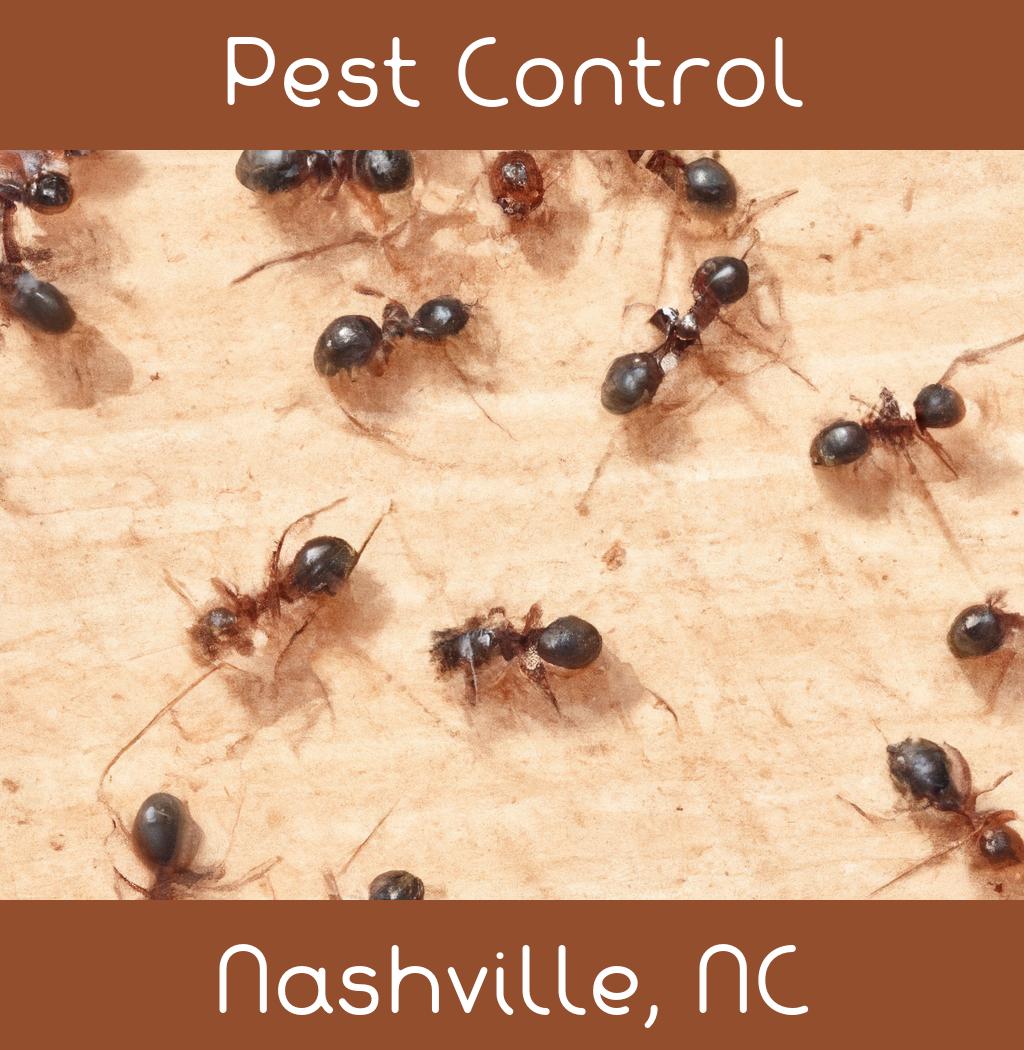 pest control in Nashville North Carolina