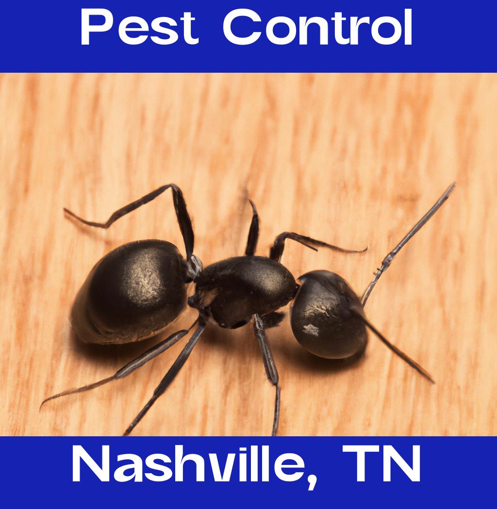 pest control in Nashville Tennessee