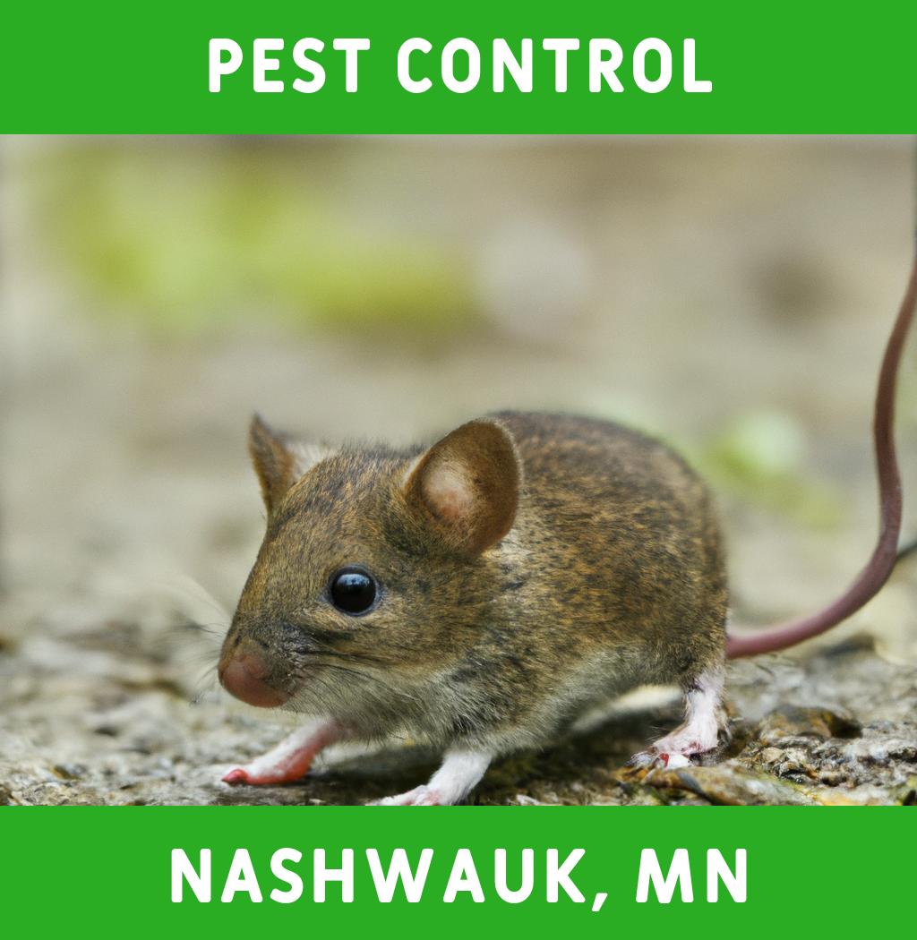 pest control in Nashwauk Minnesota