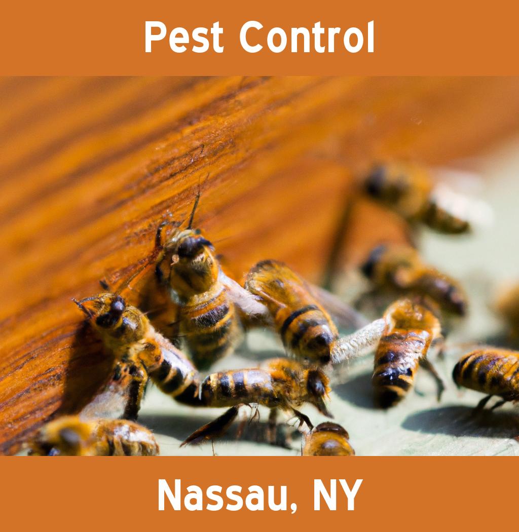 pest control in Nassau New York