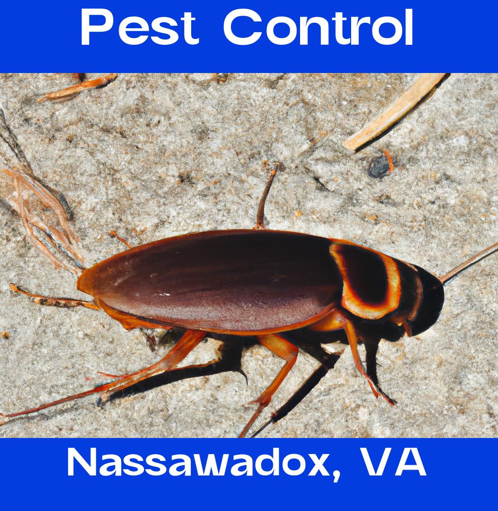 pest control in Nassawadox Virginia