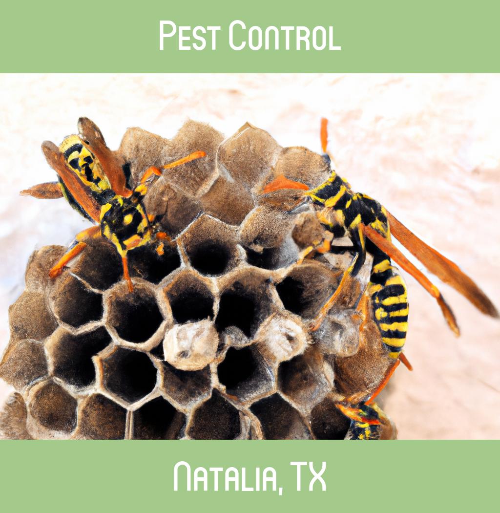 pest control in Natalia Texas