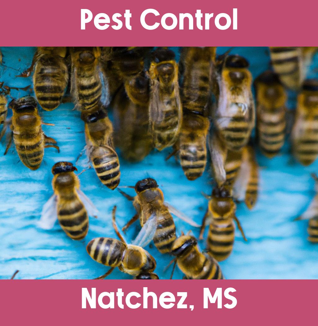 pest control in Natchez Mississippi
