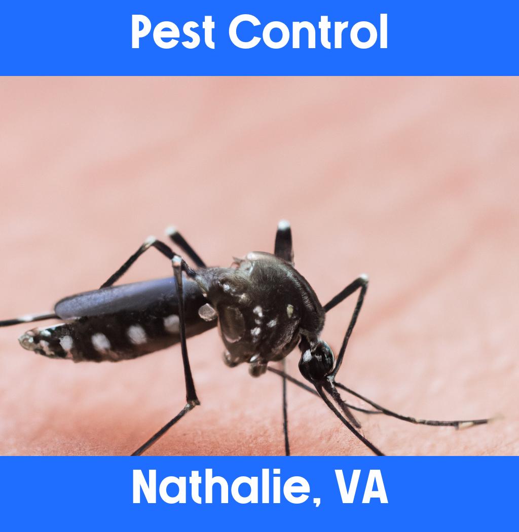 pest control in Nathalie Virginia