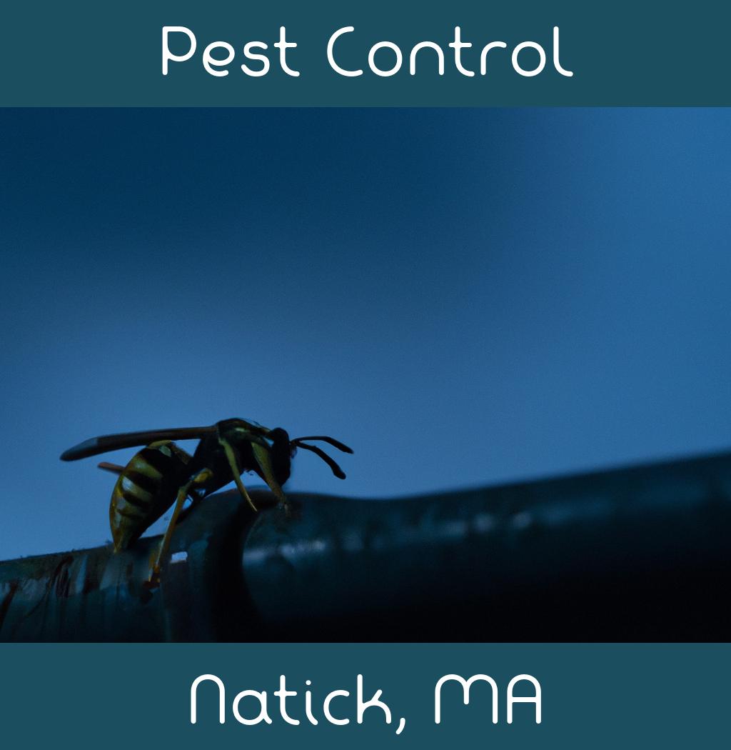 pest control in Natick Massachusetts