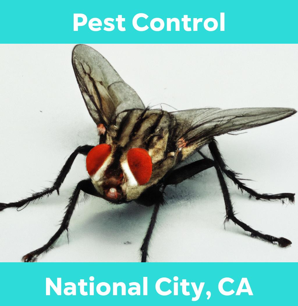 pest control in National City California