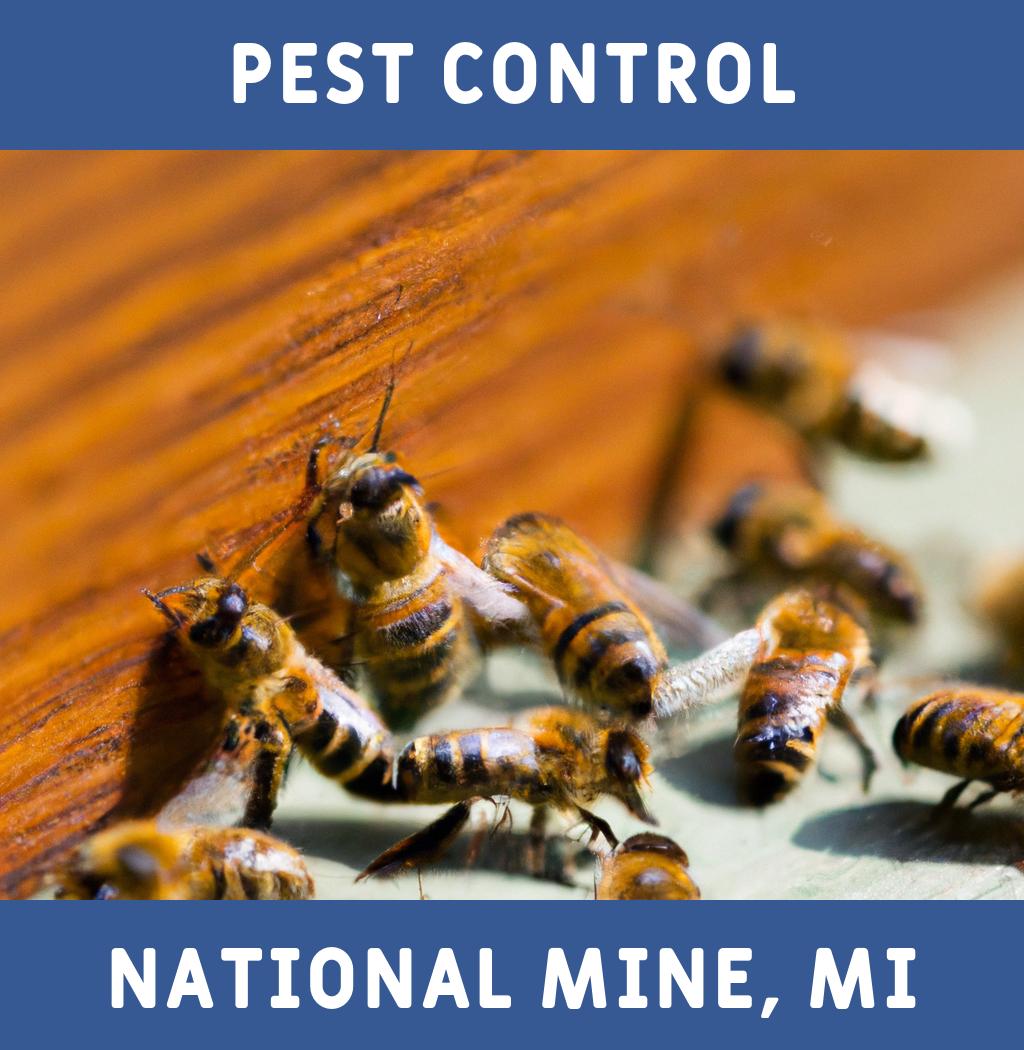pest control in National Mine Michigan