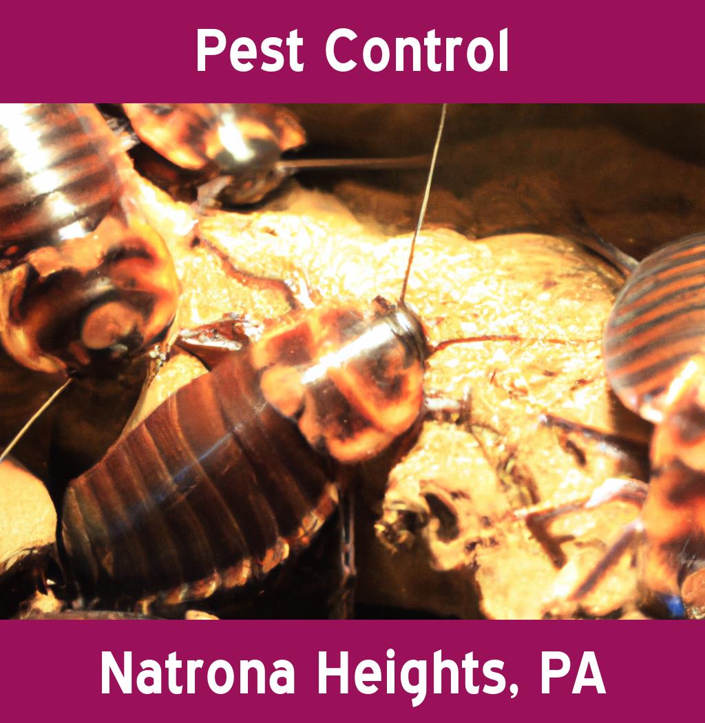 pest control in Natrona Heights Pennsylvania