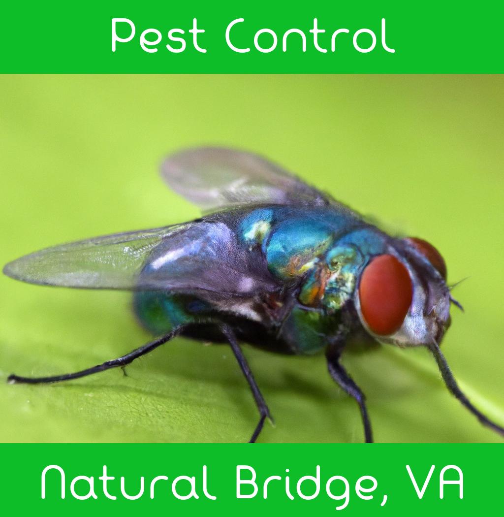 pest control in Natural Bridge Virginia