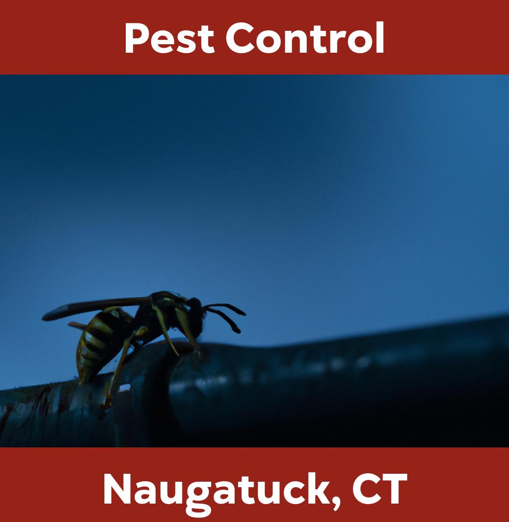 pest control in Naugatuck Connecticut